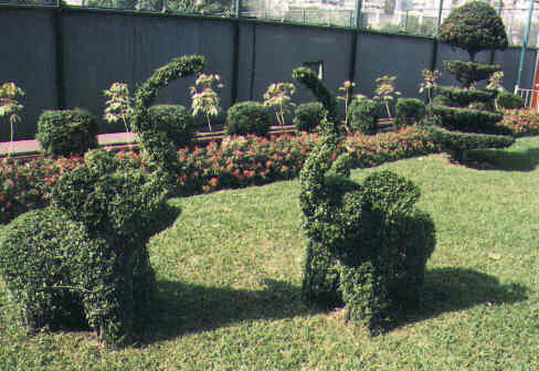 HK - Island - victoria park