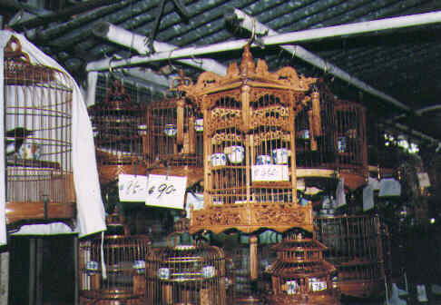 HK - Kowloon - birdmarket